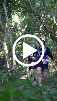 BIB:  <button type="button" onclick="openModal(28063736)" class="btn btn-primary btn-sm float-right" data-toggle="modal" data-target=".modal-high-quality">
                <i class="fa fa-download"></i> Download
                </button>